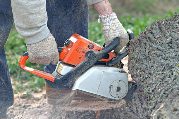 Best Aeration Services  in Sedro Woolley, WA